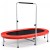 Podwójna trampolina do zabawy i ćwiczeń fitness z poręczą