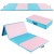 240x120x5cmweichbodenmattegymnastikmatteklappbaryogamattemitklettverschlussund2tragegriffeblaurosa_1764920873268_image_1.jpg
