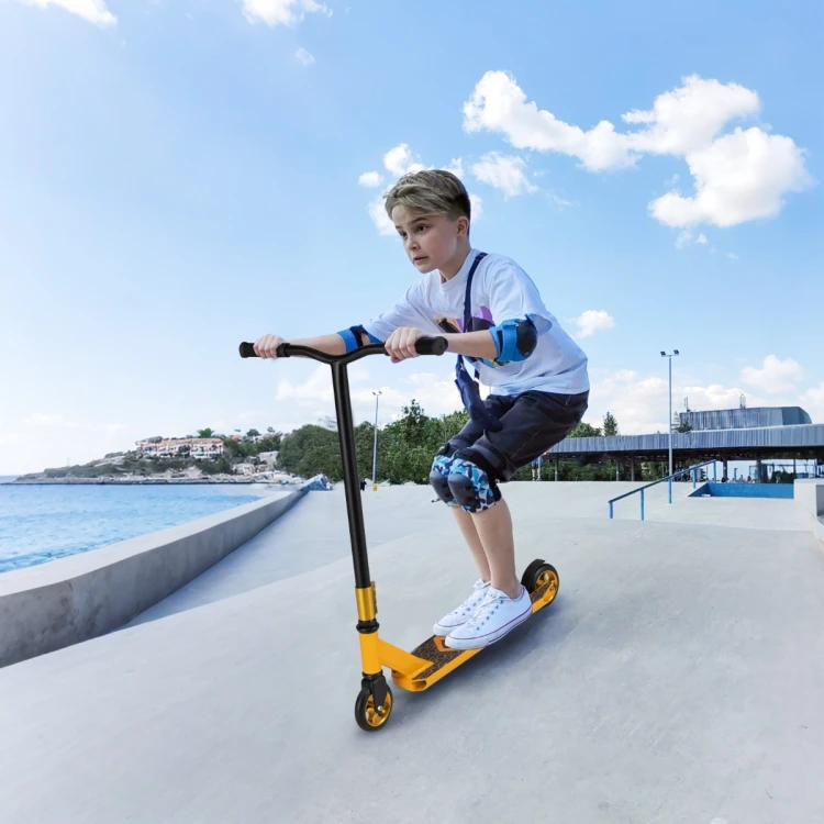 kickscooter-13141_4__1.jpg