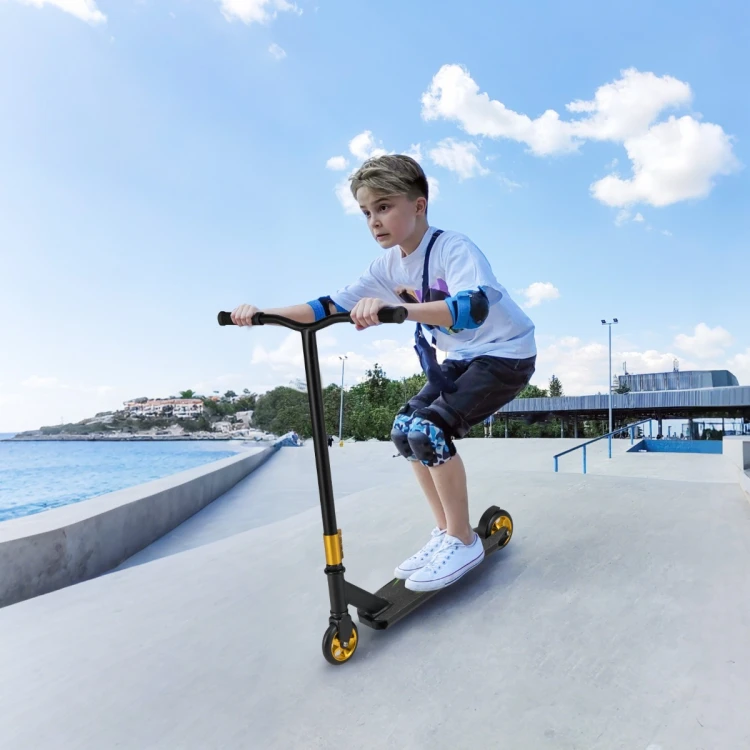 kickscooter-13146_4_.jpg