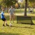 faltbaresfuballtor150x71x76cmmetallrahmenwetterfestespenetzerdspieeeinfachmontierbarfroutdoortrainingschwarz_1774250327707_image_1.jpg