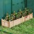 blumenkastenhochbeetholzpflanzkastenmittrennwandentwsserungslchernvliesstofffoliegartenbeetpflanzbeet227x595x40cmnatur_image_4.jpg