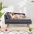 erhhteshundesofafrmittelgroekleinehundewelpenkatzenundktzchenhundecouchgrau_1766477368759_image_7.jpg