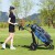3-kołowy wózek golfowy z regulowaną rączką